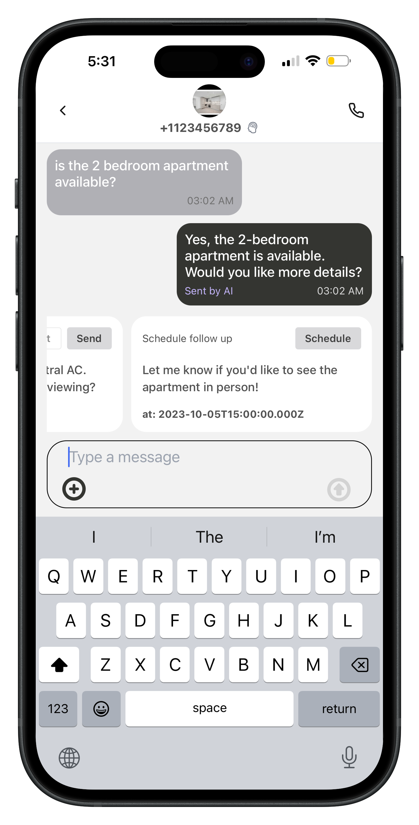Automated replies and follow-ups in Birdi